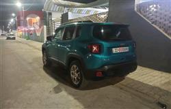 جيب رينيجيد